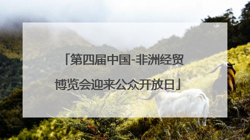 第四届中国-非洲经贸博览会迎来公众开放日