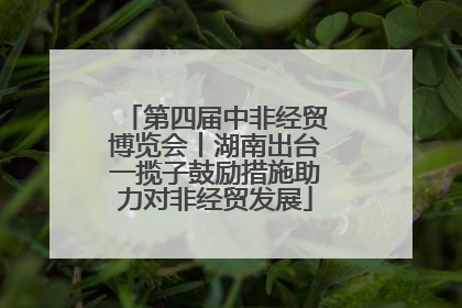 第四届中非经贸博览会丨湖南出台一揽子鼓励措施助力对非经贸发展