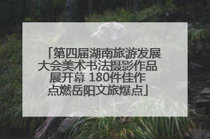 第四届湖南旅游发展大会美术书法摄影作品展开幕 180件佳作点燃岳阳文旅爆点