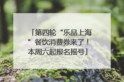 第四轮“乐品上海”餐饮消费券来了！本周六起报名摇号