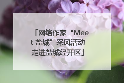 网络作家“Meet 盐城”采风活动走进盐城经开区