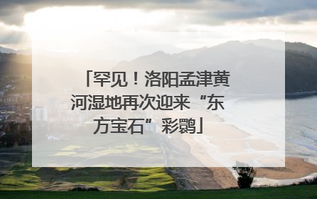罕见！洛阳孟津黄河湿地再次迎来“东方宝石”彩鹮