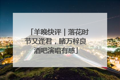 羊晚快评｜落花时节又逢君，睹万梓良酒吧演唱有感