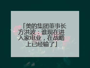 美的集团董事长方洪波：谁现在进入家电业，在战略上已经输了