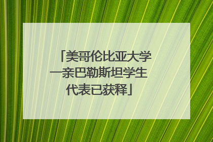 美哥伦比亚大学一亲巴勒斯坦学生代表已获释