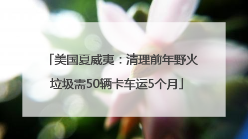 美国夏威夷：清理前年野火垃圾需50辆卡车运5个月