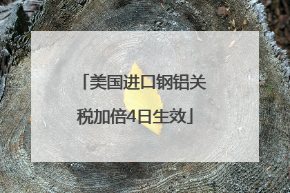 美国进口钢铝关税加倍4日生效