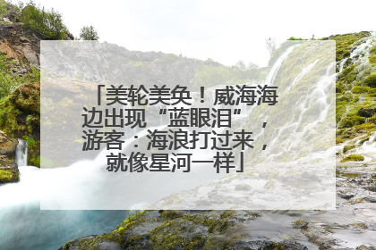 美轮美奂！威海海边出现“蓝眼泪”，游客：海浪打过来，就像星河一样