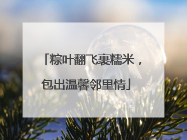 粽叶翻飞裹糯米，包出温馨邻里情