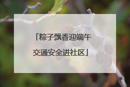 粽子飘香迎端午 交通安全进社区