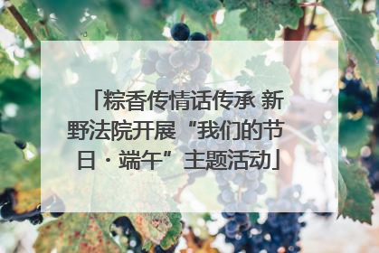 粽香传情话传承 新野法院开展“我们的节日・端午”主题活动