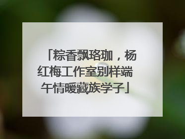粽香飘珞珈，杨红梅工作室别样端午情暖藏族学子