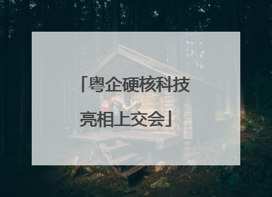 粤企硬核科技亮相上交会