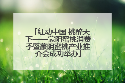 红动中国 桃醉天下——蒙阴蜜桃消费季暨蒙阴蜜桃产业推介会成功举办