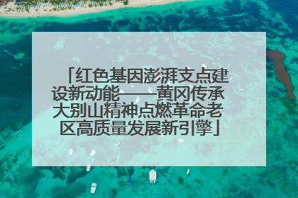 红色基因澎湃支点建设新动能——黄冈传承大别山精神点燃革命老区高质量发展新引擎