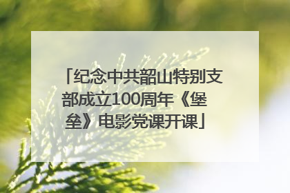纪念中共韶山特别支部成立100周年《堡垒》电影党课开课