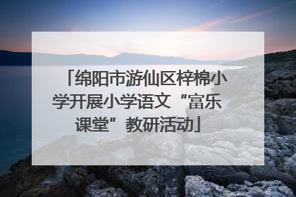 绵阳市游仙区梓棉小学开展小学语文“富乐课堂”教研活动