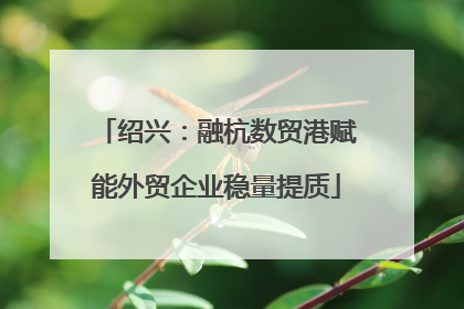 绍兴：融杭数贸港赋能外贸企业稳量提质