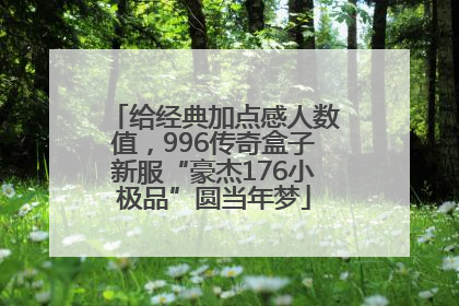 给经典加点感人数值，996传奇盒子新服“豪杰176小极品”圆当年梦