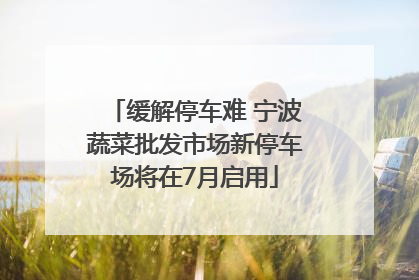 缓解停车难 宁波蔬菜批发市场新停车场将在7月启用