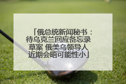 俄总统新闻秘书：待乌克兰回应备忘录草案 俄美乌领导人近期会晤可能性小