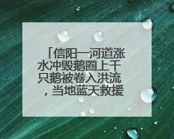信阳一河道涨水冲毁鹅圈上千只鹅被卷入洪流，当地蓝天救援队一小时赶鹅上岸