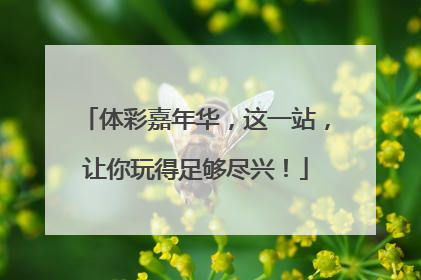 体彩嘉年华，这一站，让你玩得足够尽兴！