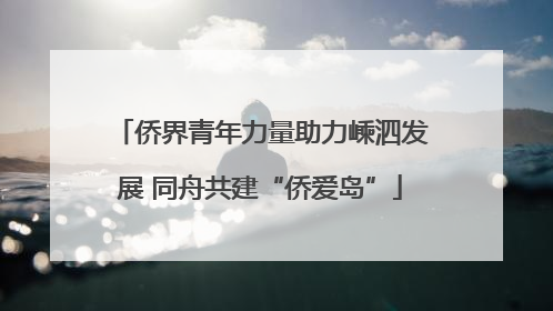 侨界青年力量助力嵊泗发展 同舟共建“侨爱岛”
