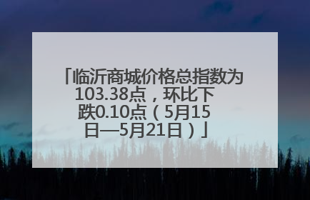 临沂商城价格总指数为103.38点，环比下跌0.10点（5月15日—5月21日）