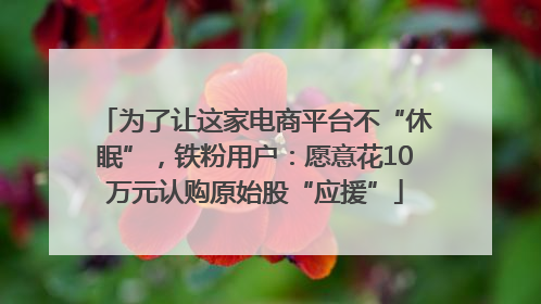 为了让这家电商平台不“休眠”，铁粉用户：愿意花10万元认购原始股“应援”
