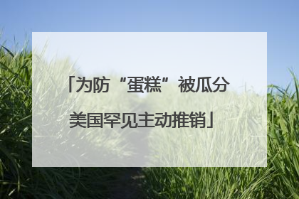 为防“蛋糕”被瓜分 美国罕见主动推销