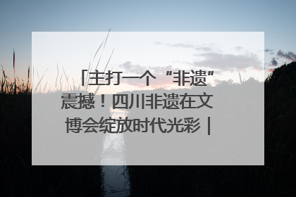 主打一个“非遗”震撼！四川非遗在文博会绽放时代光彩｜文博向“新”