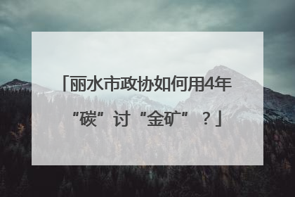 丽水市政协如何用4年“碳”讨“金矿”？