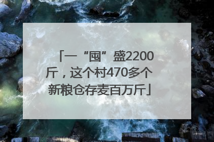 一“囤”盛2200斤，这个村470多个新粮仓存麦百万斤