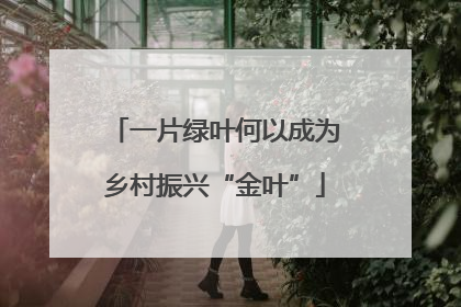 一片绿叶何以成为乡村振兴“金叶”