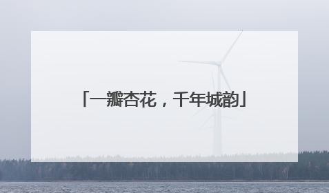 一瓣杏花，千年城韵