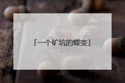一个矿坑的蝶变
