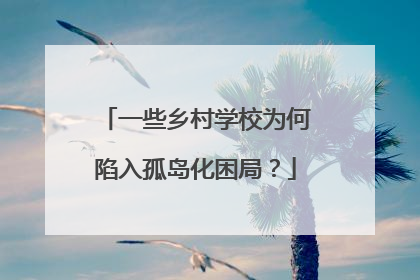 一些乡村学校为何陷入孤岛化困局？