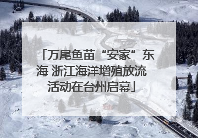 万尾鱼苗“安家”东海 浙江海洋增殖放流活动在台州启幕