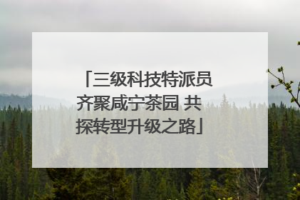 三级科技特派员齐聚咸宁茶园 共探转型升级之路