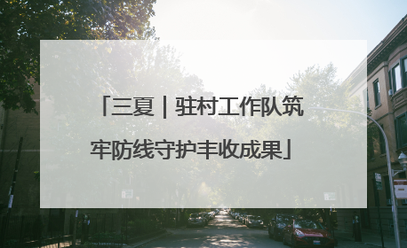 三夏｜驻村工作队筑牢防线守护丰收成果