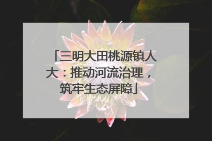 三明大田桃源镇人大：推动河流治理，筑牢生态屏障