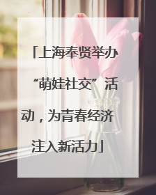 上海奉贤举办“萌娃社交”活动，为青春经济注入新活力