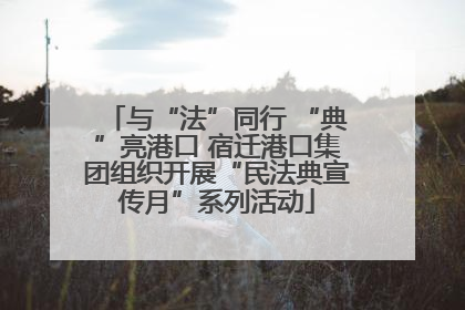 与“法”同行 “典”亮港口 宿迁港口集团组织开展“民法典宣传月”系列活动