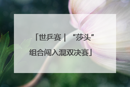世乒赛｜“莎头”组合闯入混双决赛