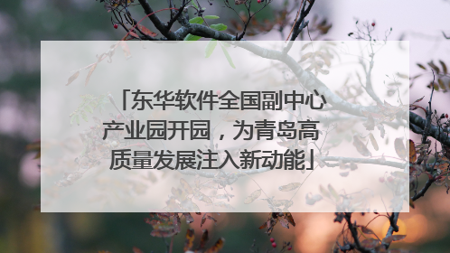 东华软件全国副中心产业园开园，为青岛高质量发展注入新动能