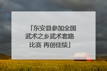 东安县参加全国武术之乡武术套路比赛 再创佳绩