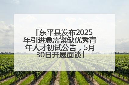 东平县发布2025年引进急需紧缺优秀青年人才初试公告，5月30日开展面谈