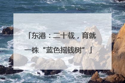东港：二十载，育就一株“蓝色摇钱树”