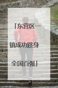 东营区一镇成功跻身全国百强